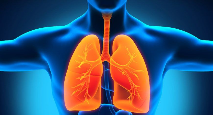 ayurvedic therapies lungs