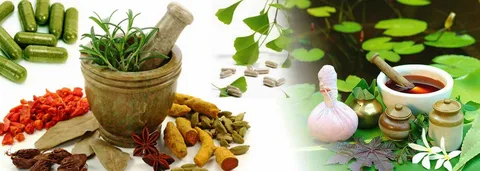 abhyangam with Steam: A Powerful Ayurvedic Detox Treatment 1 i 7