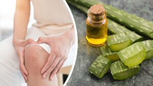 ayurvedic treatment for arthritis​